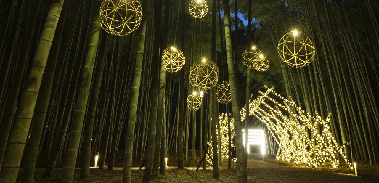 🎋 와카타케노모리 와카야마 농장 이미지 9